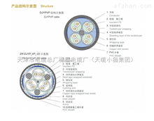 ZRC-DJYVRP-3x2x1.0計算機(jī)軟信號電纜線 關(guān)鍵硬件在安防系統(tǒng)中的銷售與應(yīng)用